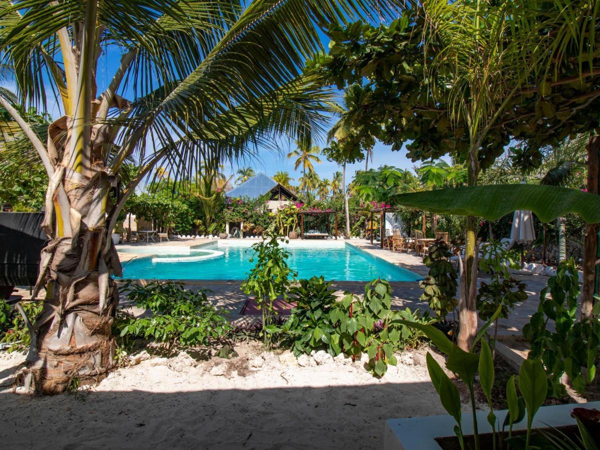 Tropical Oasis Boutique Hotel Michamvi Extérieur photo