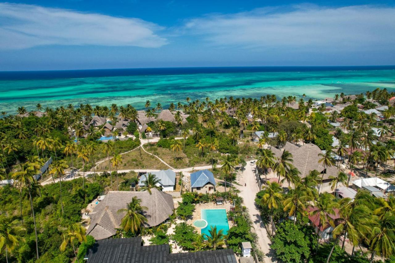 Tropical Oasis Boutique Hotel Michamvi Extérieur photo