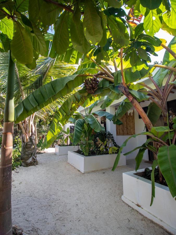 Tropical Oasis Boutique Hotel Michamvi Extérieur photo